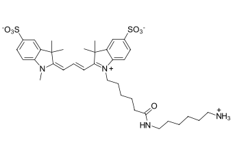 Sulfo-Cyanine3 amine