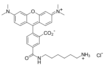 TAMRA amine, 5-isomer