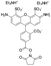 AF488 NHS ester