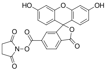 FAM NHS ester, 6-isomer