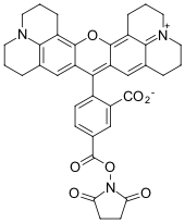 ROX NHS ester, 5-isomer