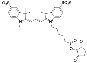 Sulfo-Cyanine3 NHS ester