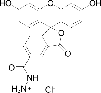 FAM hydrazide, 5-isomer