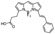 BDP 564/570 carboxylic acid