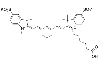 Sulfo-Cyanine7 carboxylic acid