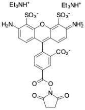 AF488 NHS ester