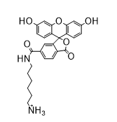 FAM amine, 6-isomer