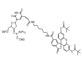 Fluorescein-dT Phosphoramidite