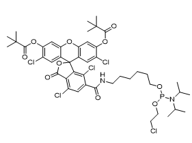 5'-Tetrachloro-Fluorescein Phosphoramidite