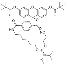 5'-Fluorescein Phosphoramidite