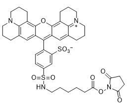 Texas Red-X NHS Ester