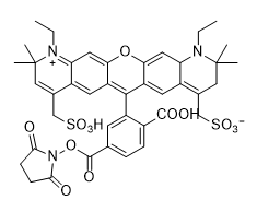 AF 594 NHS Ester