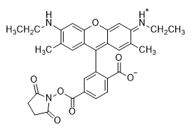 6-CR6G NHS Ester