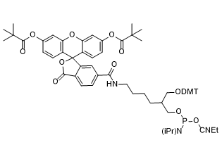 6-Fluorescein Phosphoramidite